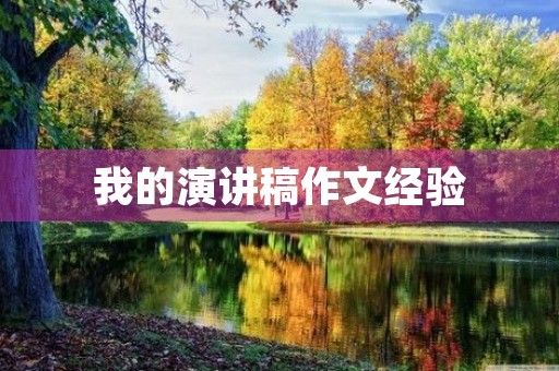 我的演讲稿作文经验