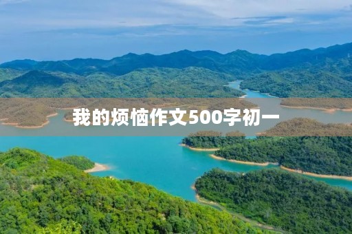 我的烦恼作文500字初一