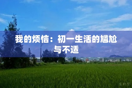 我的烦恼:初一生活的尴尬与不适 我的烦恼:初一生活的尴尬与不适