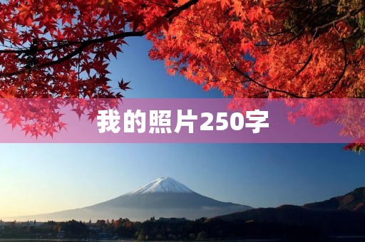 我的照片250字