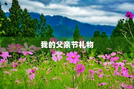 我的父亲节礼物
