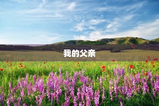 我的父亲，我的味道