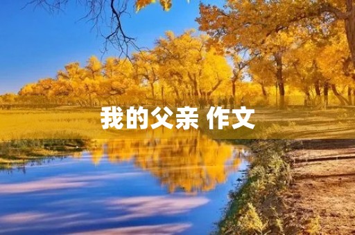 我的父亲 作文 我的父亲 作文