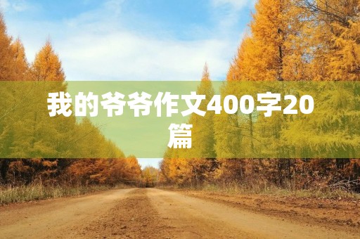 我的爷爷作文400字20篇