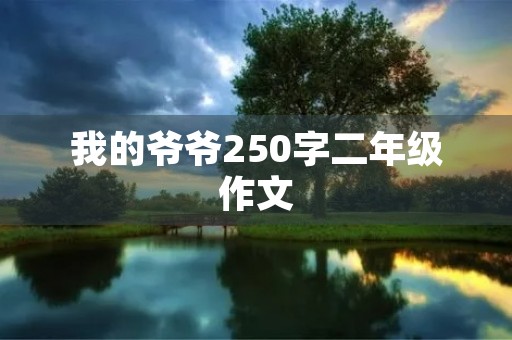 我的爷爷250字二年级作文
