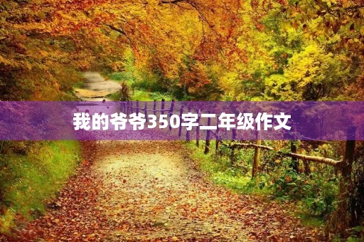 我的爷爷350字二年级作文