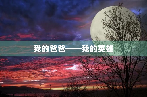 我的爸爸——我的英雄 我的爸爸——我的英雄