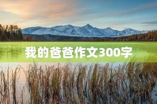 我的爸爸作文300字 我的爸爸作文300字