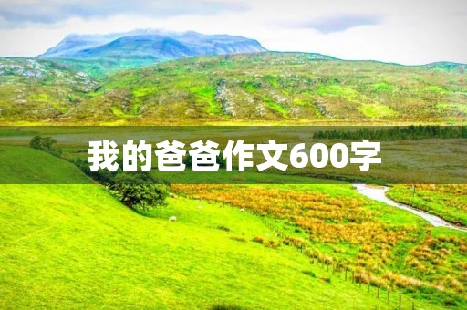 我的爸爸作文600字