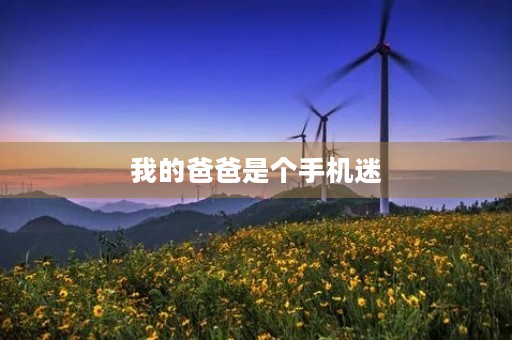 我的爸爸是个手机迷，哈哈哈200字三年级作文