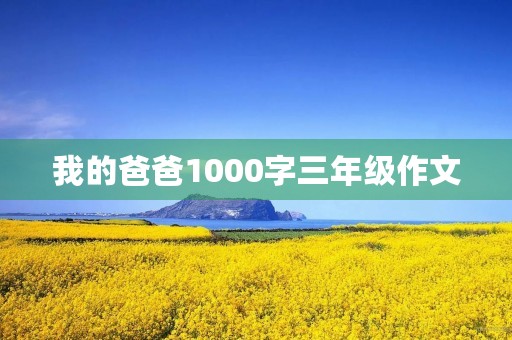 我的爸爸1000字三年级作文