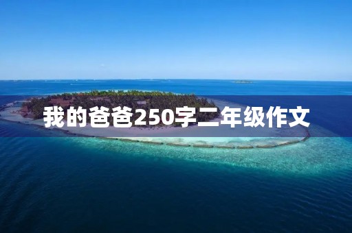 我的爸爸250字二年级作文 我的爸爸250字二年级作文
