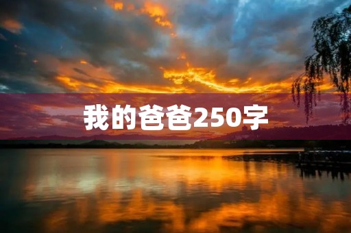 我的爸爸250字