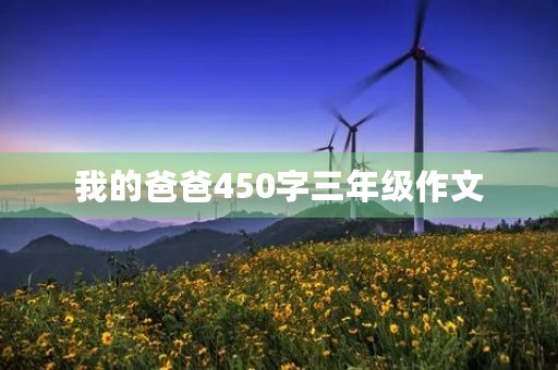 我的爸爸450字三年级作文