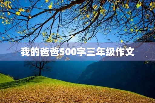 我的爸爸500字三年级作文 我的爸爸500字三年级作文