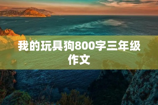 我的玩具狗800字三年级作文