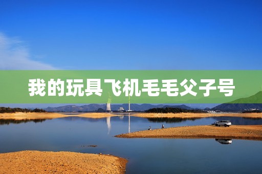 我的玩具飞机毛毛父子号