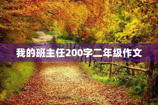我的班主任200字二年级作文