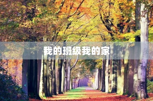 我的班级我的家