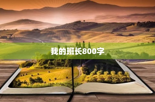 我的班长800字 我的班长800字