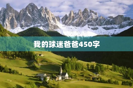 我的球迷爸爸450字