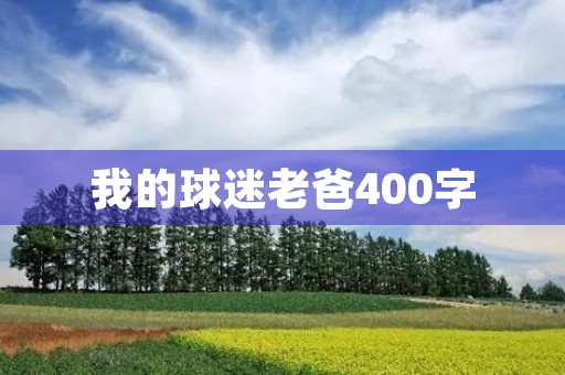 我的球迷老爸400字