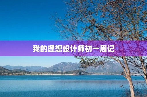 我的理想设计师初一周记