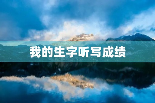 我的生字听写成绩