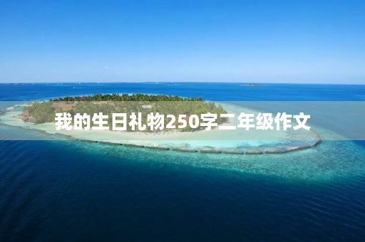 我的生日礼物250字二年级作文