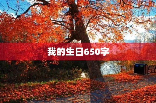 我的生日650字