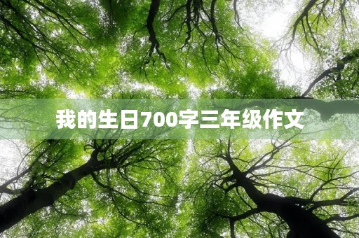 我的生日700字三年级作文