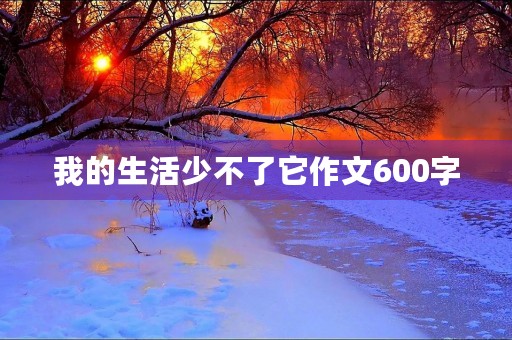我的生活少不了它作文600字