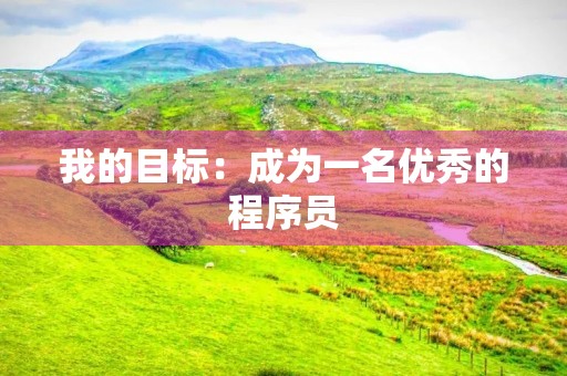 我的目标:成为一名优秀的程序员 我的目标:成为一名优秀的程序员