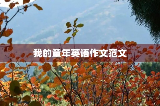 我的童年英语作文范文