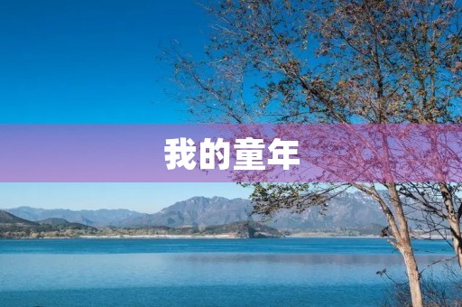 我的童年 我的童年