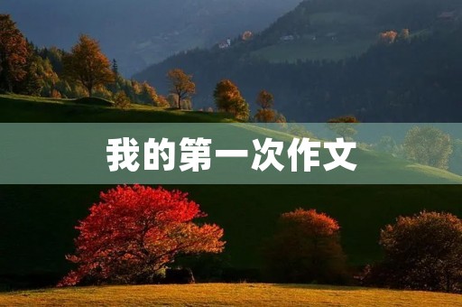 我的第一次作文
