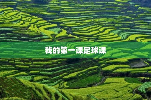 我的第一课足球课 我的第一课足球课