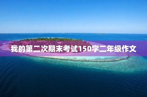 我的第二次期末考试150字二年级作文