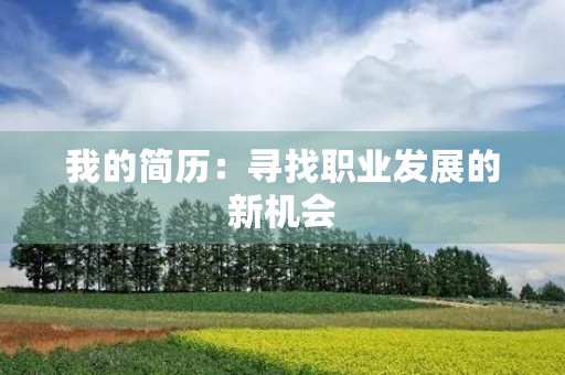 我的简历：寻找职业发展的新机会
