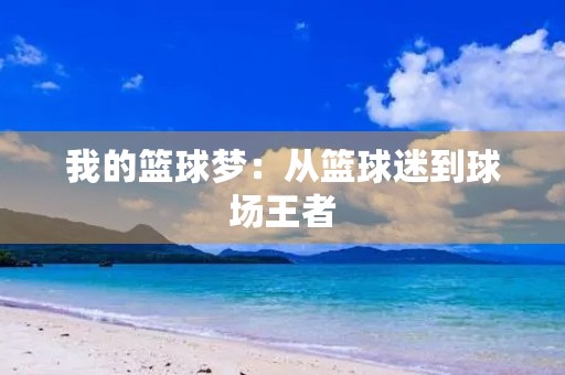 我的篮球梦:从篮球迷到球场王者 我的篮球梦:从篮球迷到球场王者