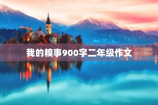 我的糗事900字二年级作文