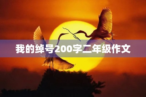 我的绰号200字二年级作文 我的绰号200字二年级作文