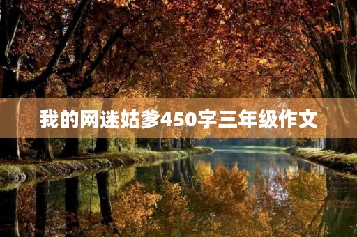 我的网迷姑爹450字三年级作文 我的网迷姑爹450字三年级作文