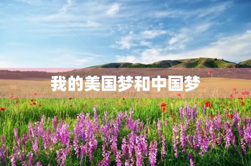 我的美国梦和中国梦