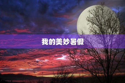 我的美妙暑假 我的美妙暑假