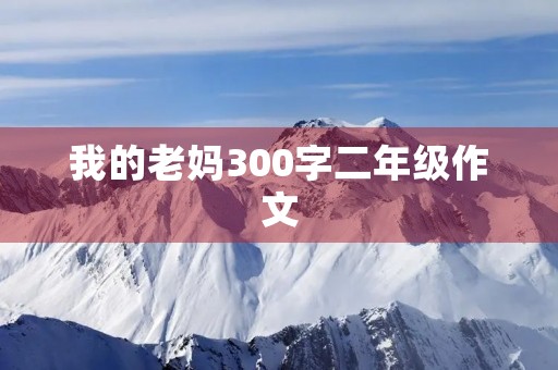 我的老妈300字二年级作文 我的老妈300字二年级作文