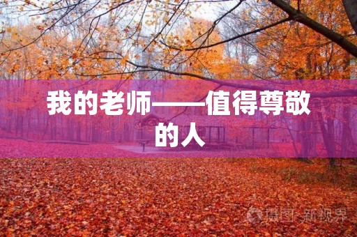 我的老师——值得尊敬的人