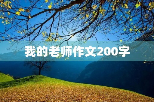 我的老师作文200字