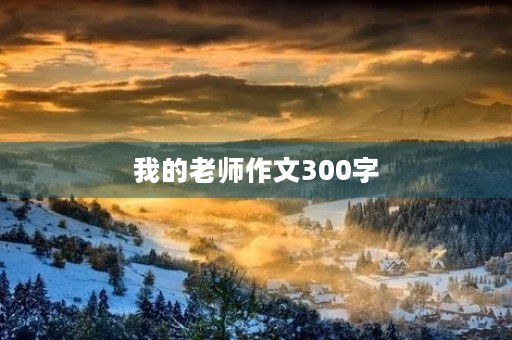 我的老师作文300字