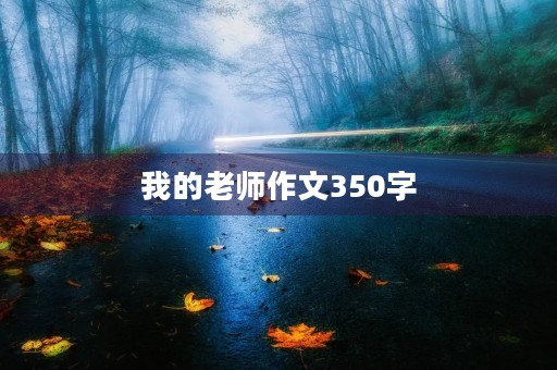 我的老师作文350字